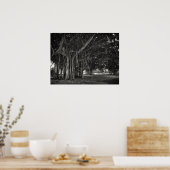 BANYAN TREE ROOT STRUKTUR POSTER (Küche)