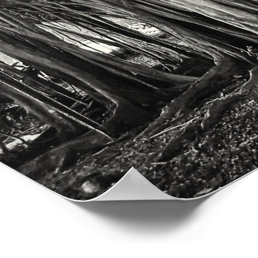 BANYAN TREE ROOT STRUKTUR POSTER (Ecke)