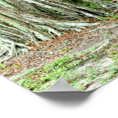 Banyan tree roots Park bench Poster (Ecke)