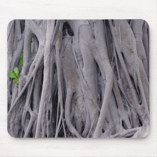 Banyan Tree Trunk Mousepad (Vorne)