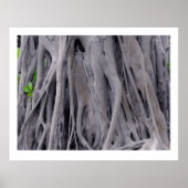 Banyan Tree Trunk Poster (Vorne)