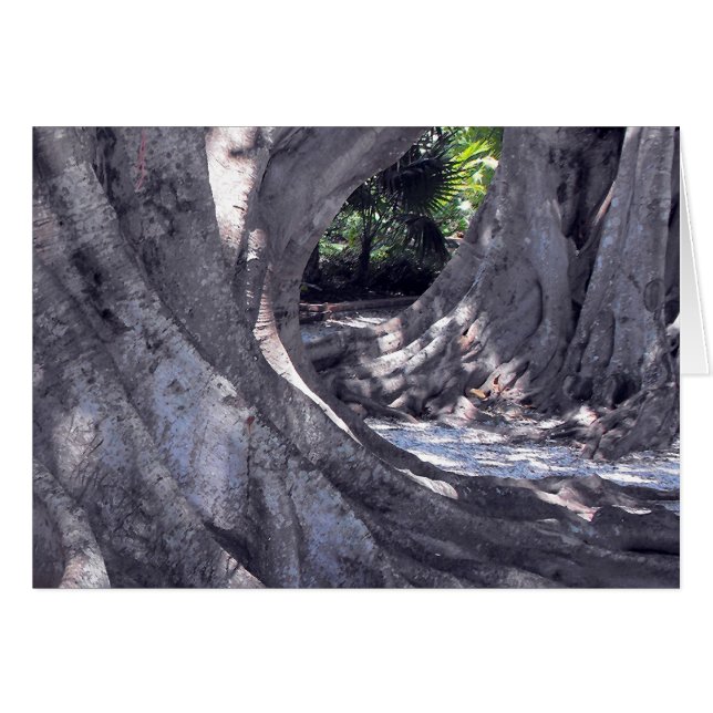 Banyan Trees (Vorderseite (Horizontal))