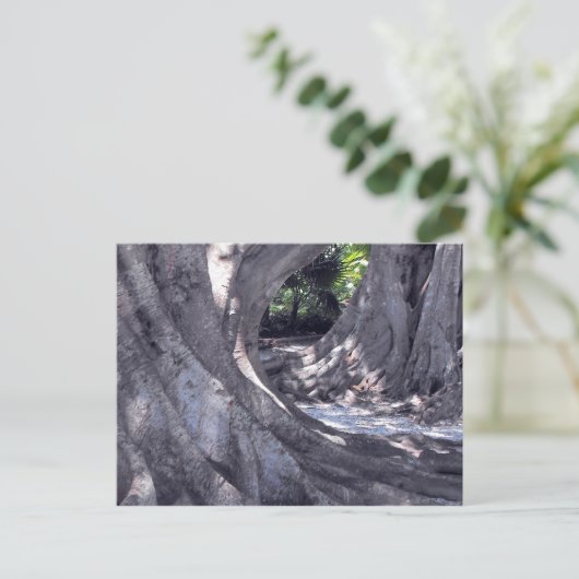 Banyan Trees Postkarte (Stehend Vorderseite)