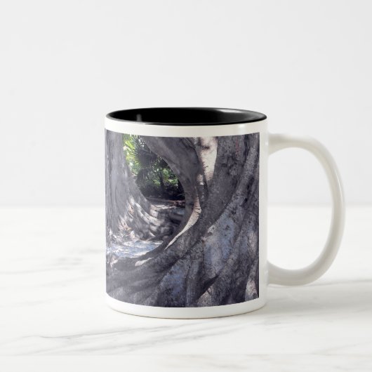 Banyan Trees Zweifarbige Tasse (Rechts)