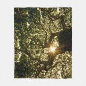 Banyanbaum-Überdachung Sunstar Fleecedecke (Vorderseite)