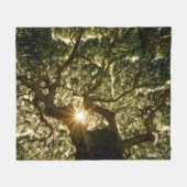 Banyanbaum-Überdachung Sunstar Fleecedecke (Vorderseite (Horizontal))