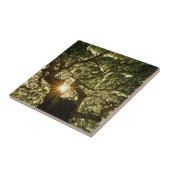 Banyanbaum-Überdachung Sunstar Fliese (Seite)