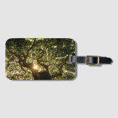 Banyanbaum-Überdachung Sunstar Gepäckanhänger (Vorderseite (Horizontal))