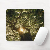 Banyanbaum-Überdachung Sunstar Mousepad (Mit Mouse)