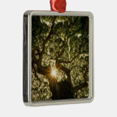 Banyanbaum-Überdachung Sunstar Ornament Aus Metall (Rechts)