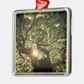 Banyanbaum-Überdachung Sunstar Ornament Aus Metall (Links)