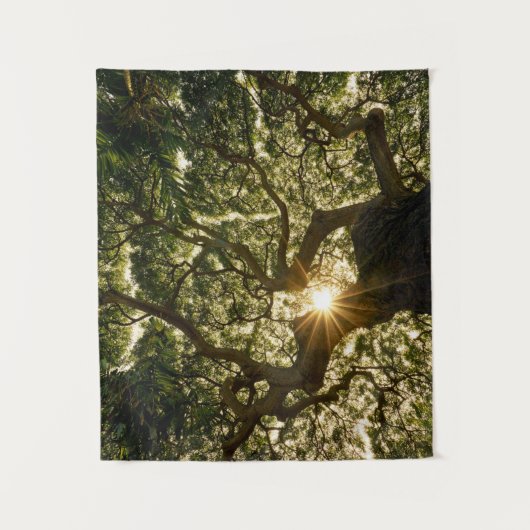 Banyanbaum-Überdachung Sunstar Wandteppich (Vorderseite)