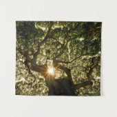 Banyanbaum-Überdachung Sunstar Wandteppich (Vorderseite (Horizontal))