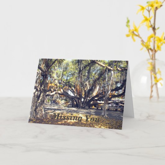 Banyon Tree in Lahaina Maui, Vermisst Karte (Gelbe Blume)