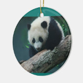 Bao Bao großer Panda CUB verzieren Keramikornament (Links)
