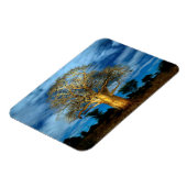 Baobab (Adansonia) Baum, der vom Mond erhellt wird Magnet (Linke Seite)