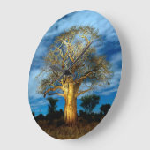 Baobab (Adansonia) Baum leuchtet auf dem Mond Große Wanduhr (Winkel)