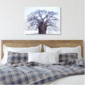 Baobab (Adansonia Digitata), Luanda Leinwanddruck (Insitu (Schlafzimmer))