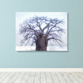 Baobab (Adansonia Digitata), Luanda Leinwanddruck (Insitu (Holzboden))