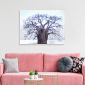Baobab (Adansonia Digitata), Luanda Leinwanddruck (Insitu (Wohnzimmer))