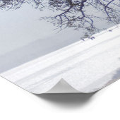 Baobab (Adansonia Digitata), Luanda Poster (Ecke)