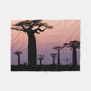Baobab-Allee', Madagaskar, Morondava, Afrika, Fleecedecke