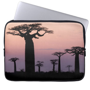 Baobab-Allee', Madagaskar, Morondava, Afrika, Laptopschutzhülle