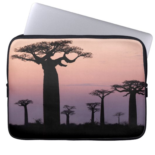 Baobab-Allee', Madagaskar, Morondava, Afrika, Laptopschutzhülle (Vorderseite)