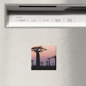 Baobab-Allee', Madagaskar, Morondava, Afrika, Magnet (In Situ (Geschirrspüler))