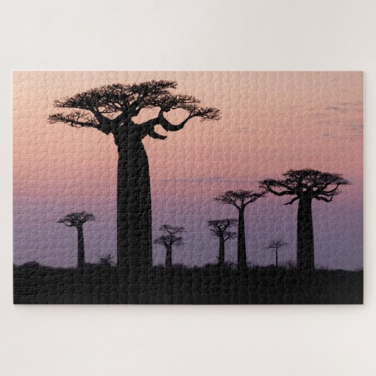 Baobab-Allee', Madagaskar, Morondava, Afrika, Puzzle (Horizontal)