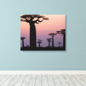 Baobab Alley', Madagaskar, Morondava, Afrika, Leinwanddruck (Insitu (Holzboden))
