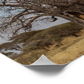 Baobab-Baum aus Tansania. Poster (Ecke)