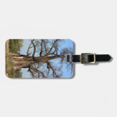 Baobab-Baum-Gepäckanhänger Gepäckanhänger (Vorderseite horizontal)