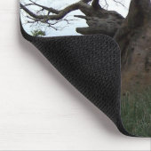 Baobab-Baum Mousepad (Ecke)
