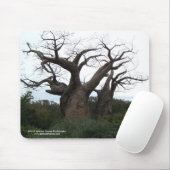 Baobab-Baum Mousepad (Mit Mouse)