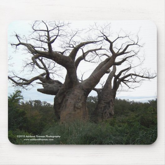 Baobab-Baum Mousepad (Vorne)