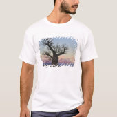 Baobab-Bäume, Berenty, Toliara, Madagaskar T-Shirt (Vorderseite)
