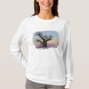 Baobab-Bäume, Berenty, Toliara, Madagaskar T-Shirt