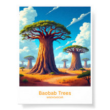 Baobab-Bäume der madagassischen Landschaftskunst