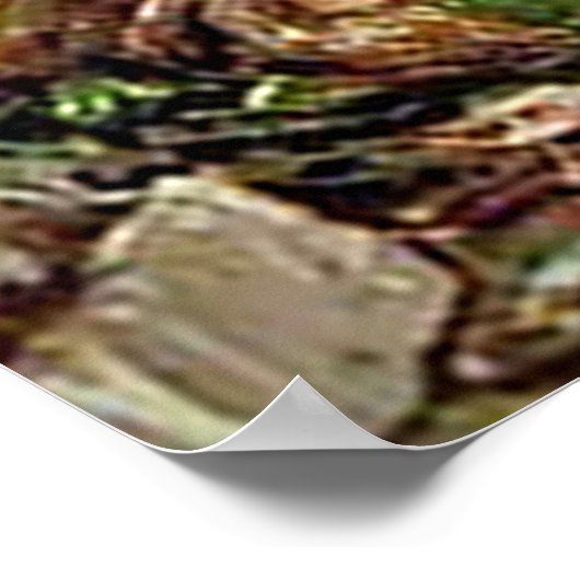 Baobab Bäume und ein großes Tamarind Tree_GC Poste Poster (Ecke)