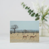 Baobab-Baumzweig personalisieren Destiny Destiny's Postkarte (Stehend Vorderseite)