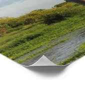 Baobab Madagaskar Poster (Ecke)