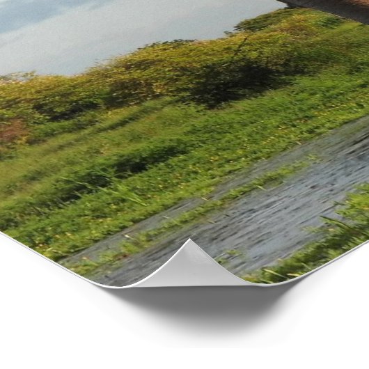 Baobab Madagaskar Poster (Ecke)