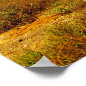 Baobab Poster (Ecke)