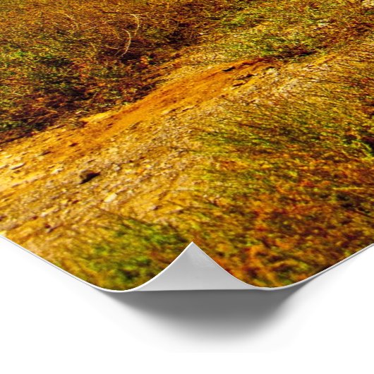 Baobab Poster (Ecke)