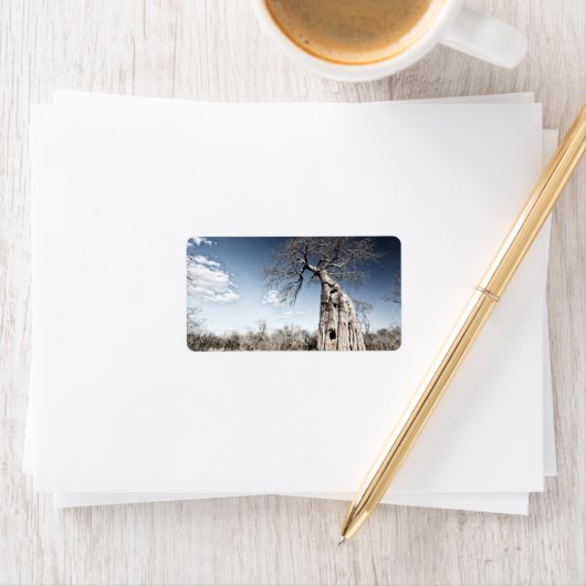 Baobab Tree at Mana Pools National Park, Simbabwe Adressaufkleber (Insitu)