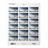 Baobab Tree at Mana Pools National Park, Simbabwe Adressaufkleber (Vorne)