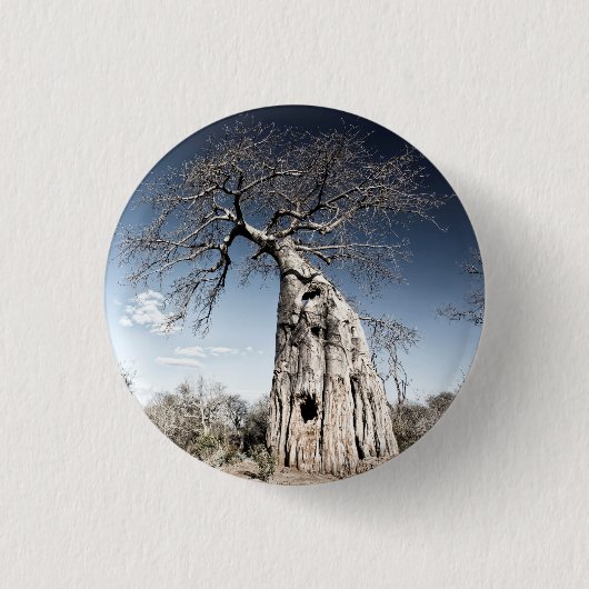 Baobab Tree at Mana Pools National Park, Simbabwe Button (Vorderseite)
