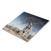 Baobab Tree at Mana Pools National Park, Simbabwe Fliese (Seite)
