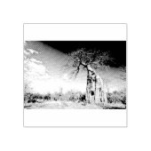 Baobab Tree at Mana Pools National Park, Simbabwe Gummistempel (Prägung)